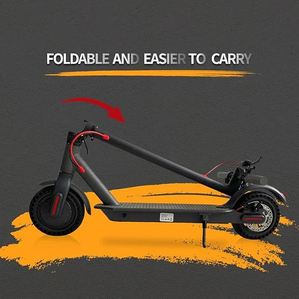 powerful ESA Pro electric scooter for adults

